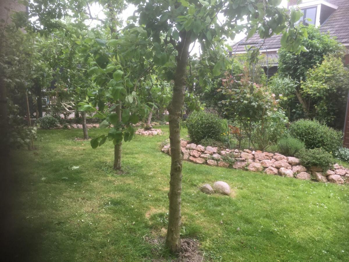 B & B Zazza Raerd Exteriör bild
